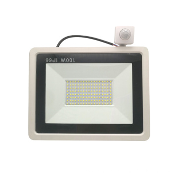 New design IP66 100w stadium lighting floodlight die